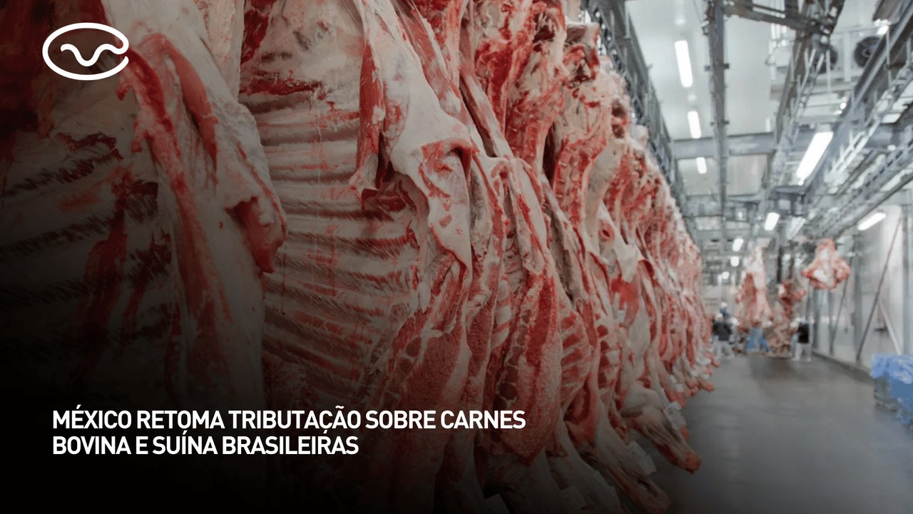 México retoma tributação sobre carnes bovina e suína brasileiras