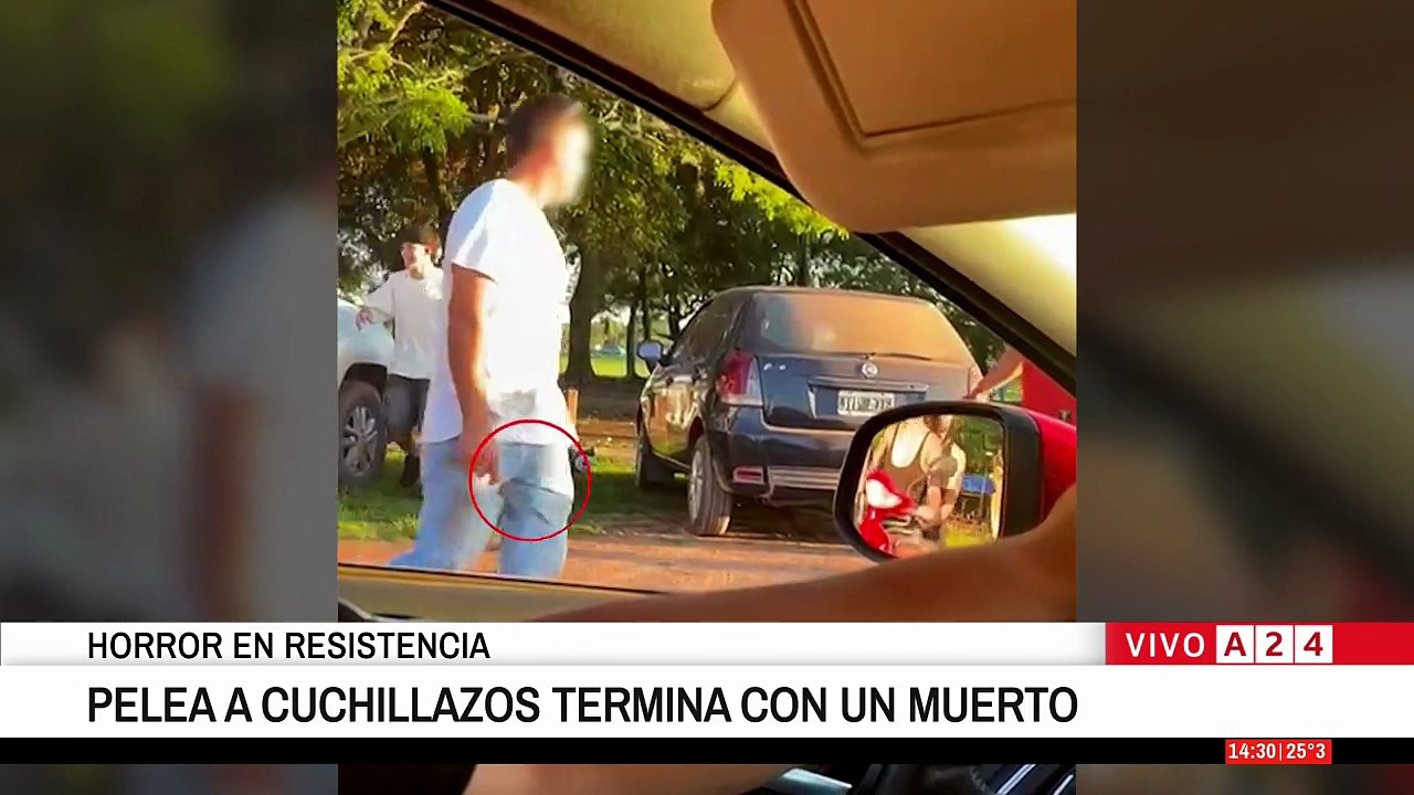 Pelea