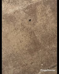 AL DESPERTAR CURACIÓN POR COLORES ROJO CALOR ENFERMEDADES DE SANGRE ANÉMICOS DOLORES DE HÍGADO ANARANJADO ASMA Y BRONQUITIS SISTEMA RESPIRATORIO AMARILLO INTESTINOS QUITA MIEDOS Y TE ELEVA MENTALMENTE INDIGESTIÓN GRIPE CONVULSIONES Y PROBLEMAS MENSTRUALES