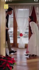 Mistaken Surrogacy Christmas Destiny Full