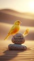 Love Rasul Allah ﷺ | Beautiful Islamic Reminder Bird Video | Delhi 🕊️(Alternate) Islamic Reminder Video | I Love Rasul Allah ﷺ | Peaceful Bird Scene