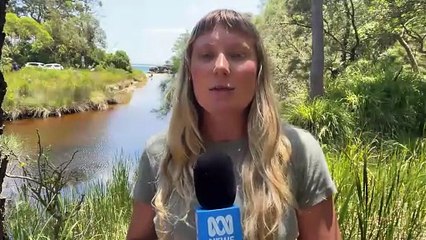 50yo man drowns while spearfishing near Shoalhaven