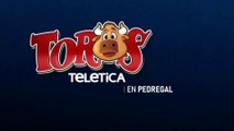 Toros en pedregal 02 enero 2026