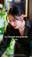 Justice for My Sister Chinese Drama - English Sub