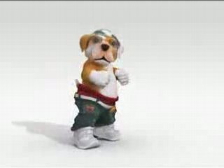 YouTube - Factor X Xs Perrito Bailando y Cantando Regueton p