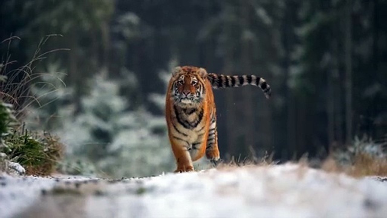 Majestic beauty of nature