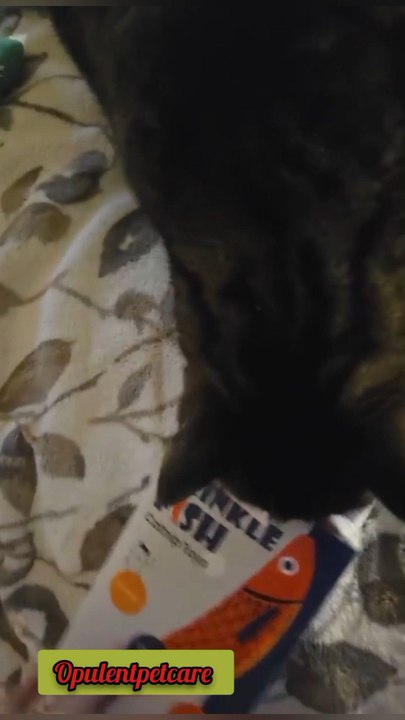 🐾 Bored indoor cat? Not anymore!This fish kicker crinkles, smells amazing & keeps kittens busy for hours 🐟😻Fun • Exercise • Happy paws👉 Tap to buy now — limited stock!