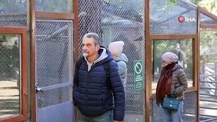 Antalya’da soğuğa hassas olan hayvanlara sıcak önlemler