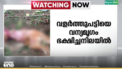 വയനാട് വളർത്തു പട്ടിയെ വന്യമൃഗം പാതിഭക്ഷിച്ച നിലയിൽ.. പുലിയെന്ന് സംശയം..