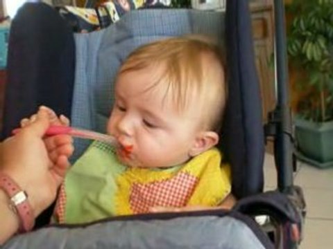 Les premieres cuillères,quelle aventure....,.