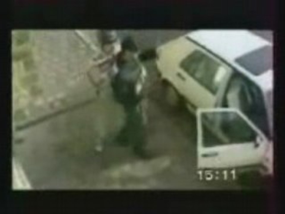 Exercice brigade cynophile française.