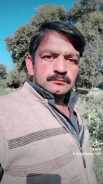 Punjabi mohal