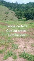 Sinta o poder vai dar certo. e o criador?