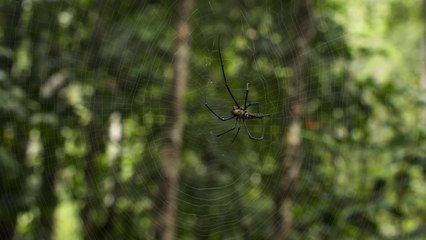 Inside the Enchanted Waterways Season 1 Episode 5