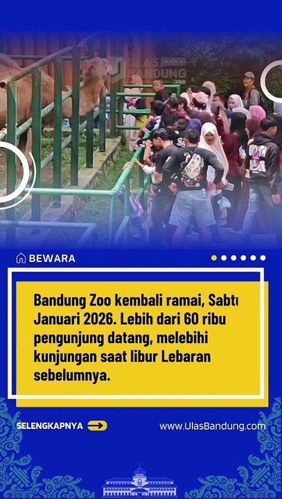Bandung Zoo Jadi Destinasi Favorit Keluarga, Ribuan Warga Nikmati Tiket Gratis Saat Libur Tahun Baru 2026