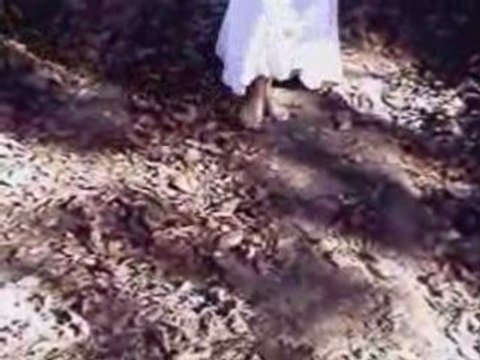 Variations sur trois fantaisies