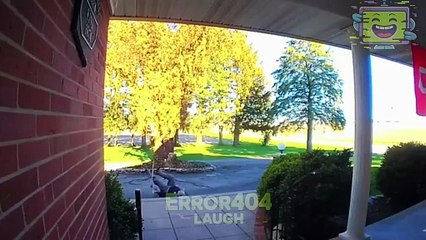 Epic Fail Moments 2026 | Funniest People Fails Caught on Camera | Part 1