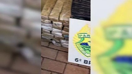 PM de Cascavel prende mulher andando em zigue-zague pela BR-277 e transportando maconha no porta-malas