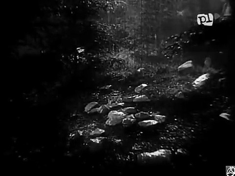 FILM POLSKI W starym kinie Serce matki 1938