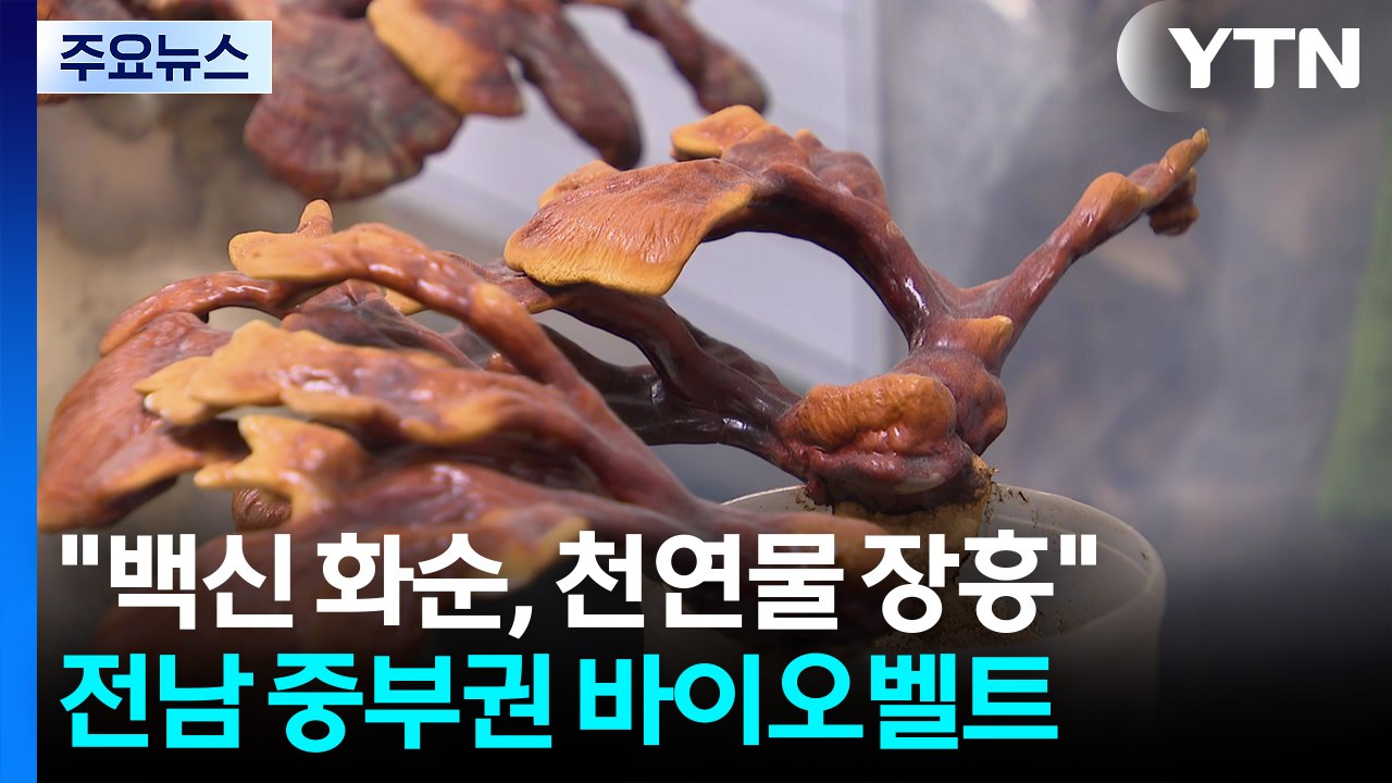 "백신은 화순, 천연물은 장흥"...전남 중부권 바이오벨트 구축 / YTN