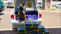 Após acompanhamento tático, BPFron apreende carro carregado de maconha em Cascavel