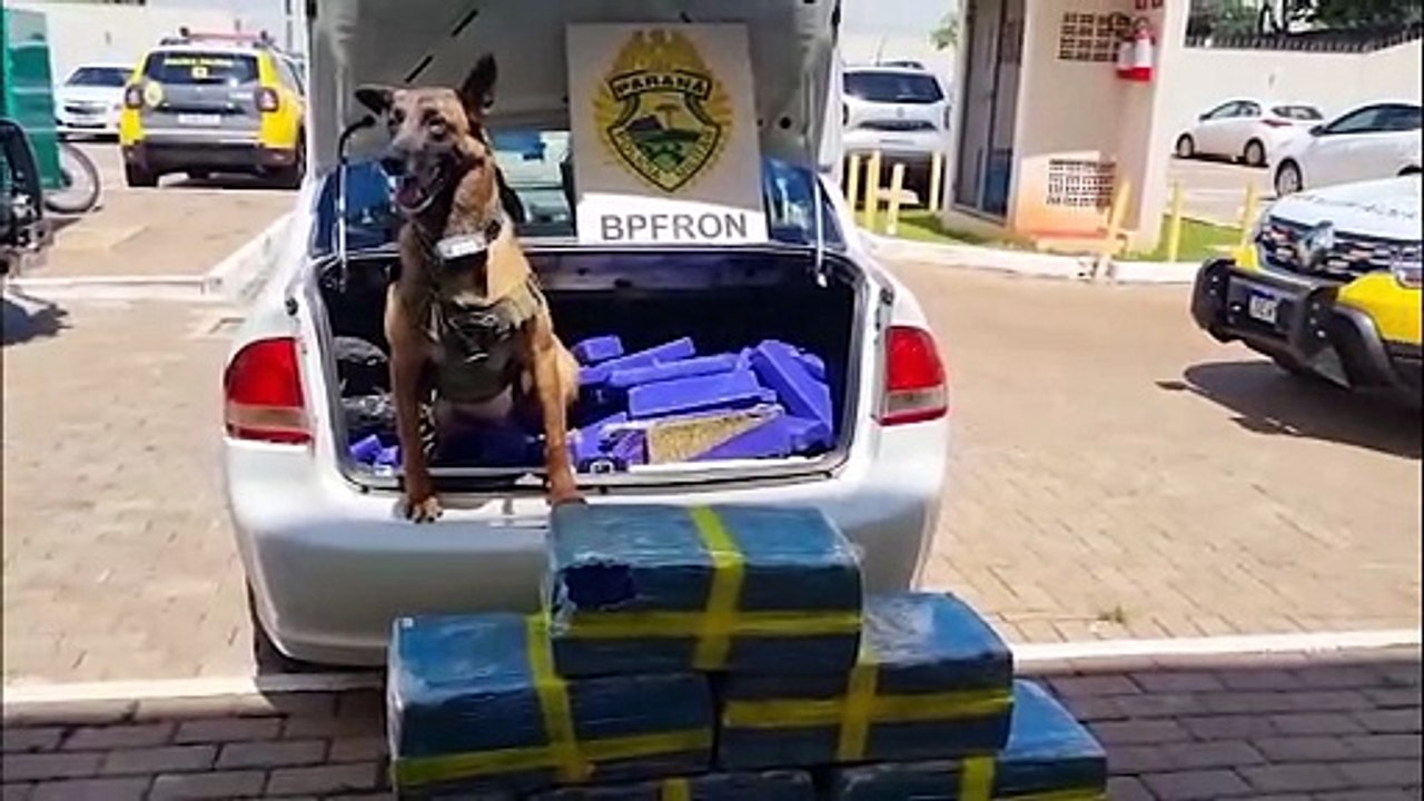 Após acompanhamento tático, BPFron apreende carro carregado de maconha em Cascavel