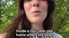 Inside a 265-Year-Old Home Where the Dogs Rule the Garden _ Dodo Digs