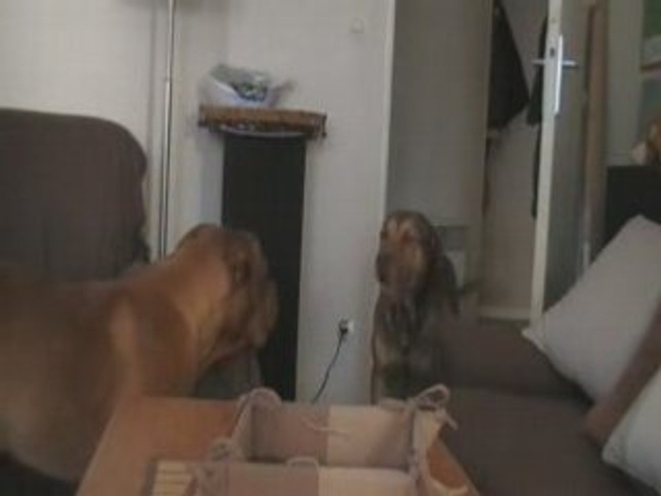 Malko et Cyrius *