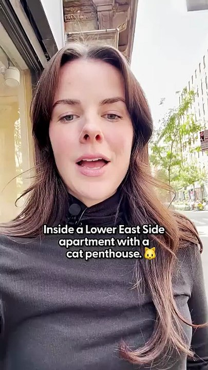 Inside The Lower East Side Apartment With A Cat Penthouse _ The Dodo
