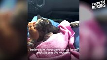 Woman Drives 10 Hours To Rescue A Paralyzed Dog _ The Dodo