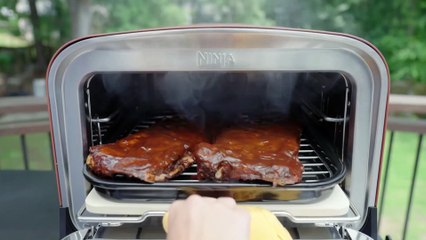 How To Stop Woodfire Flavour on Your Ninja Woodfire Oven OO101