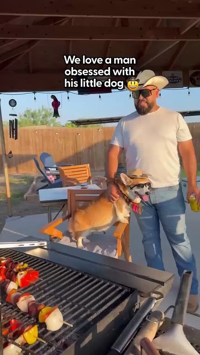 Corgi Knows When It s Time To Start Grilling And Chilling _ The Dodo