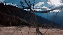 Yellowstone - S05 Teil 2 Trailer (Deutsch) HD