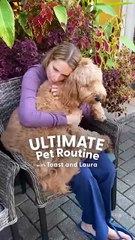 Nothing Stops This Narcoleptic Dog From Having A Good Time  _ The Dodo