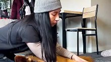 10-Year-Old German Shepherd Loves His Massages _ The Dodo