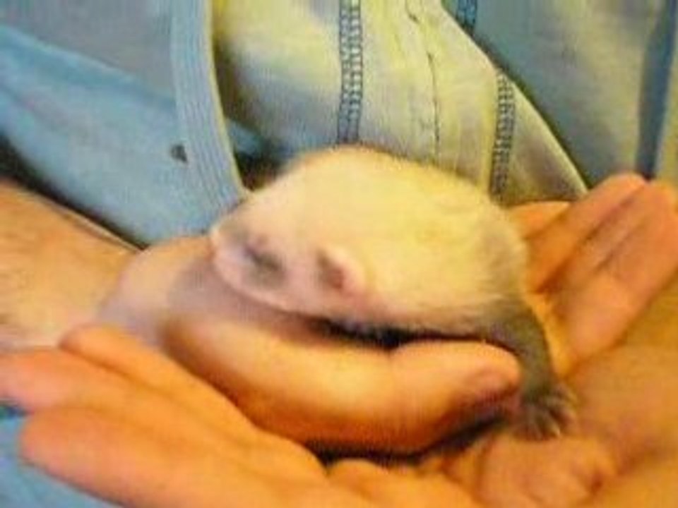 petit calin ! J+26