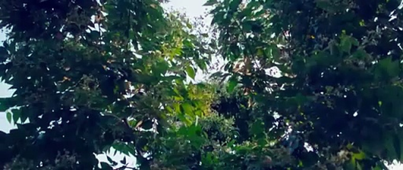 Sanam Teri Kasam 2💛Superhit Hindi Full Romantic Movie