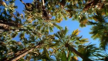 Microworlds 12of13 Australias Red Centre