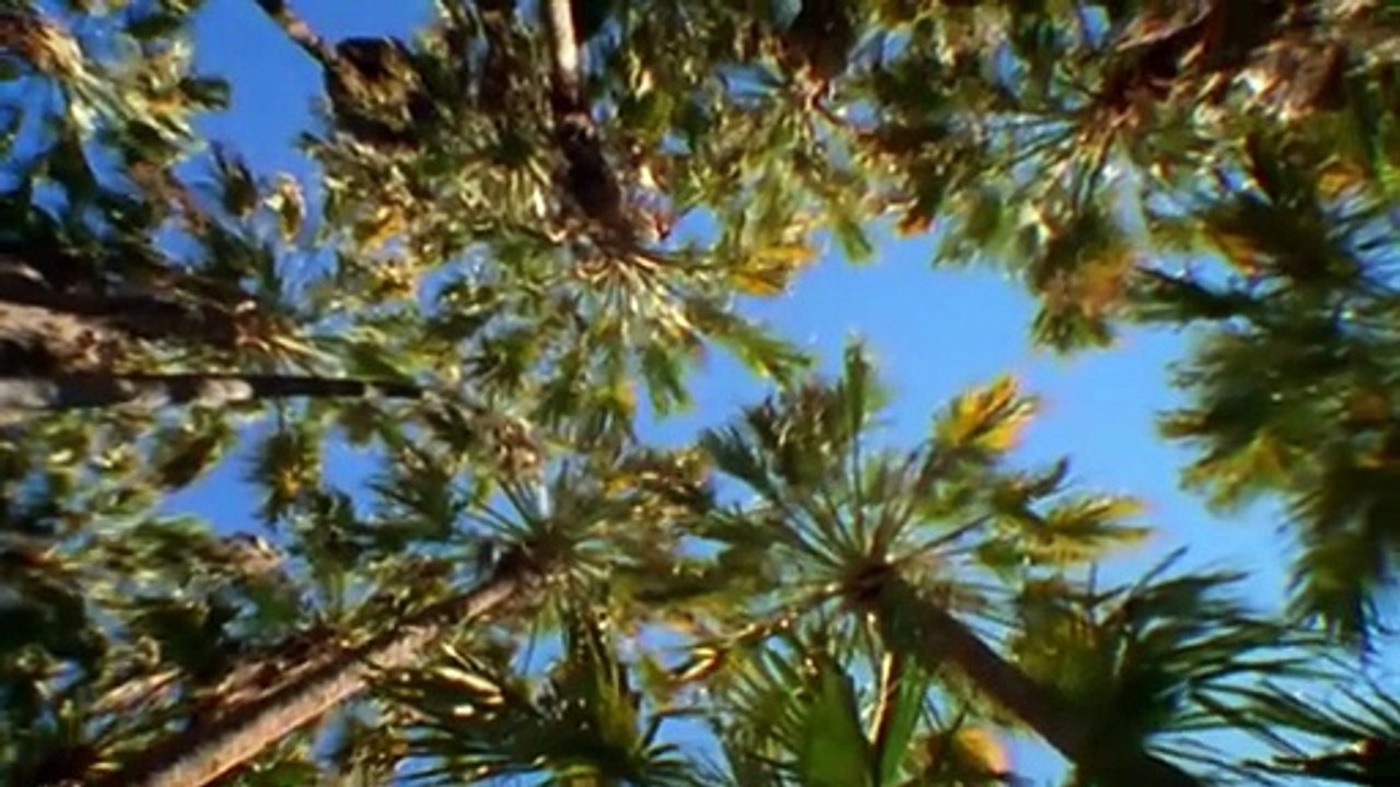 Microworlds 12of13 Australias Red Centre