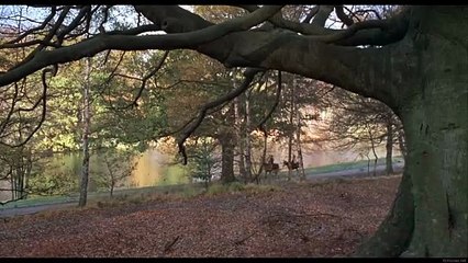 See No Evil (1971) Watch HD