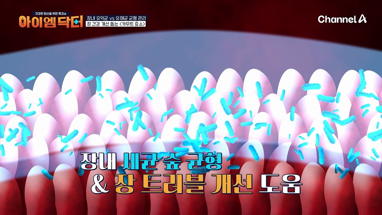 변비 예방에도 탁월하다?! 장 건강 개선에도 영향을 주는 카무트 효소의 능력