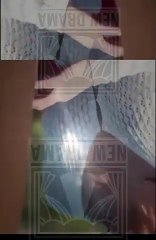 🍏💜✴️🏳️ 12.26 - 01.05 🔥 Spoiled By My Mafia Son dailymotion 🌐x9x0usk