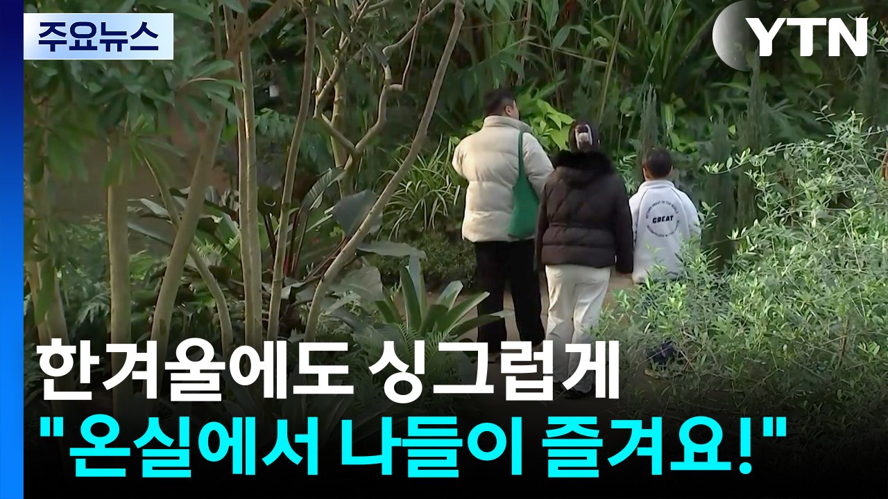 한겨울에도 싱그럽게..."온실에서 나들이 즐겨요!" / YTN