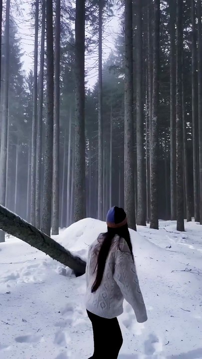 Cinematic Sequoia National Park Travel Guide - Winter in the Giant Forest