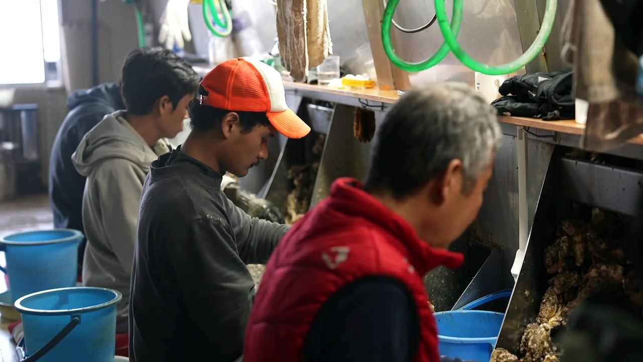 Small Japanese community slowly embraces foreign workers despite traditional homogenous culture