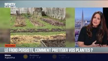 Comment protéger vos plantes du froid ? Les conseils de Caroline Munioz