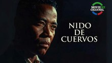 NIDO DE CUERVOS -- CINE DE DRAMA HD LATINO