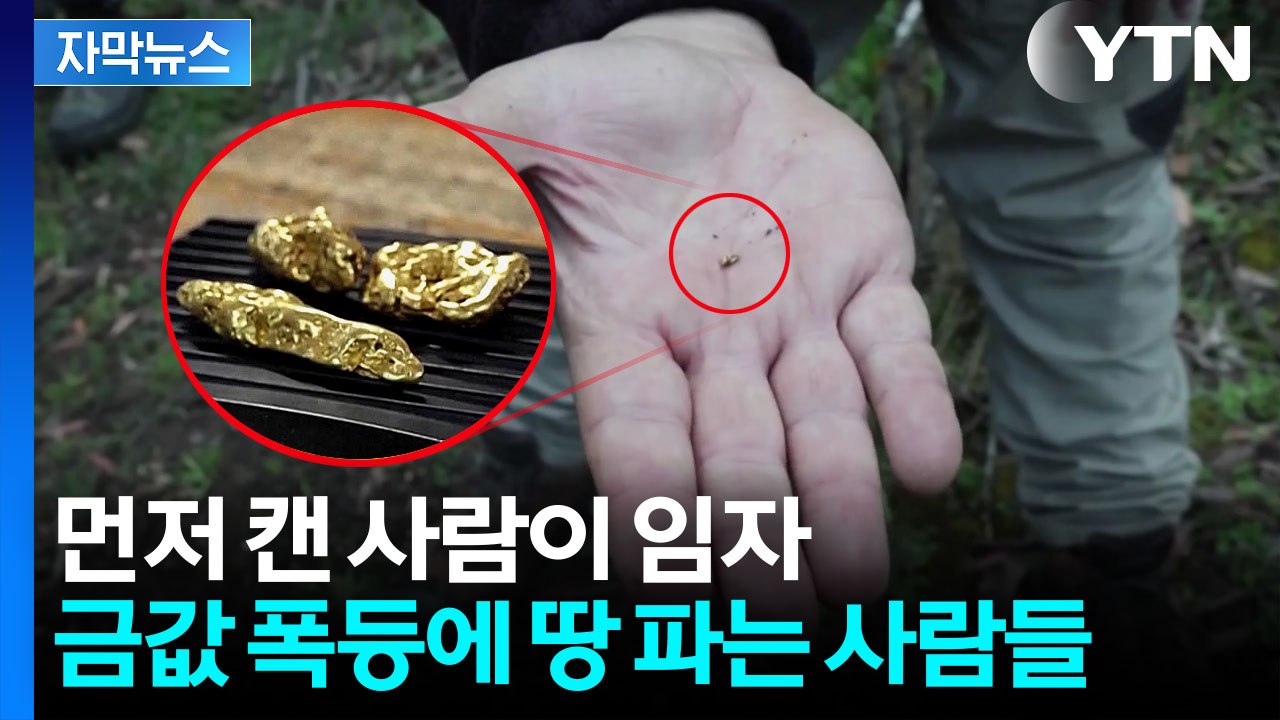 [자막뉴스] 금덩이 '잭팟'에 몰려든 사람들...탐지기 들고 땅 파기 열풍 / YTN