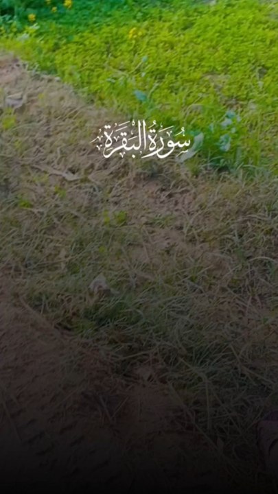 Surat Ul Baqarah