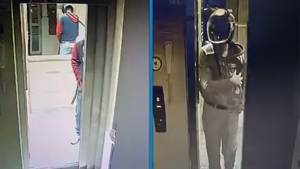 Adana’da kaskla apartmana girip önce idrarını yaptı sonra damdaki kuşları çaldı; o anlar kamerada